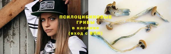 ALPHA PVP Верхний Тагил