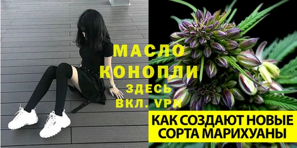 твердый Верея