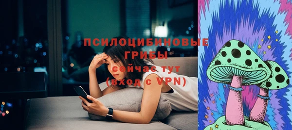 твердый Верея