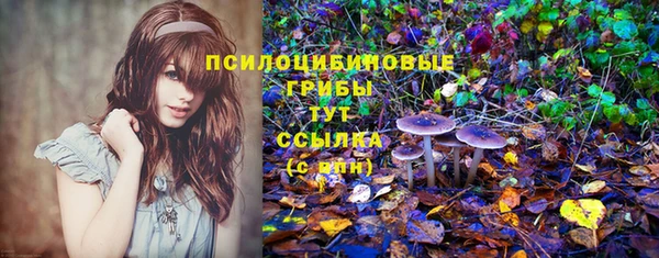 твердый Верея